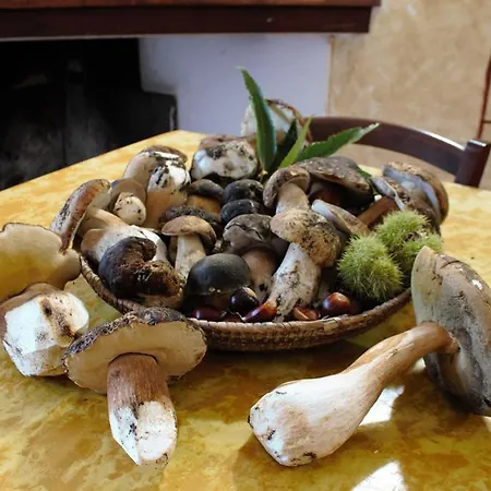 컨트리하우스 Piperedda 이르골리